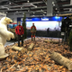 A stuffed polar bear at the China Hunting Show.